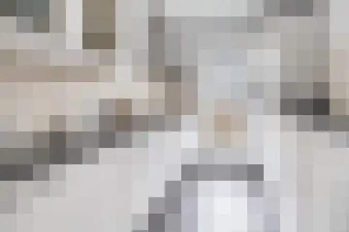 Admiraal de Ruyterlaan 109 Hilversum thumbnail 9