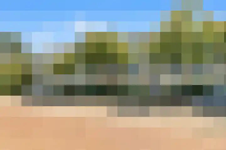 Admiraal de Ruyterlaan 11 Castricum thumbnail 22