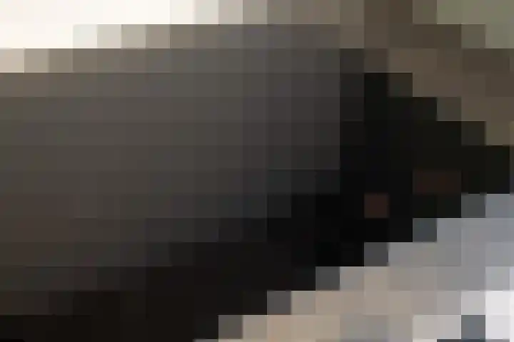 Admiraal de Ruyterlaan 119 Hilversum thumbnail 11