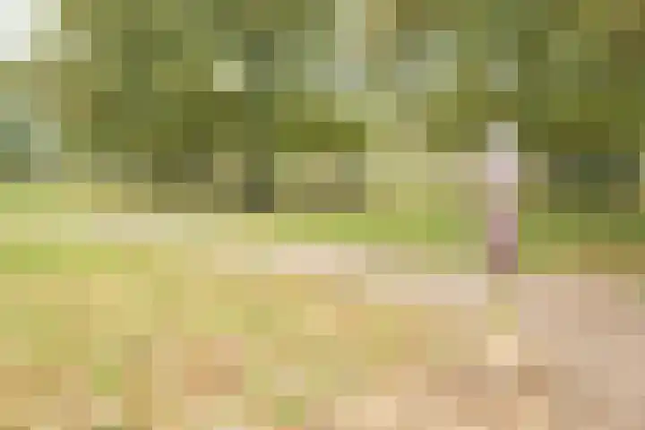 Admiraal de Ruyterlaan 119 Hilversum thumbnail 22