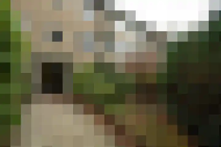 Admiraal de Ruyterlaan 119 Hilversum thumbnail 26