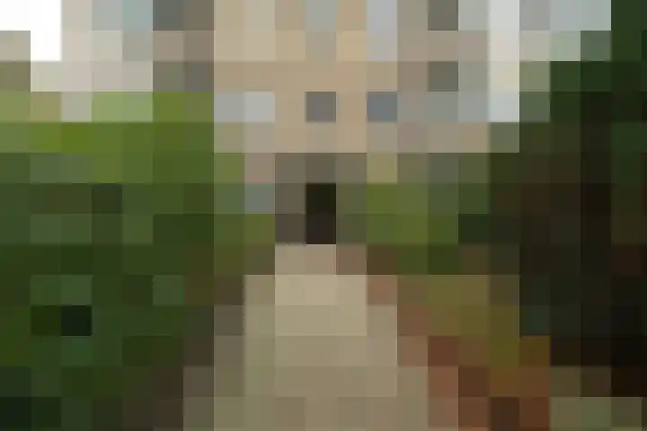 Admiraal de Ruyterlaan 119 Hilversum thumbnail 27