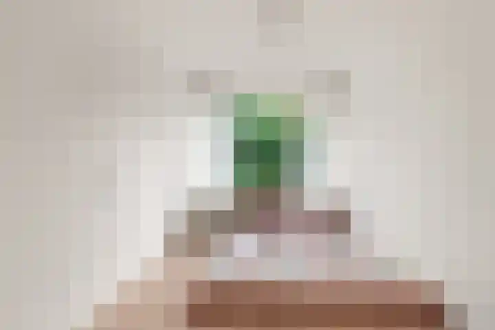 Admiraal de Ruyterlaan 13 Castricum thumbnail 12