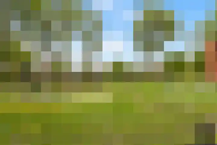 Admiraal de Ruyterlaan 13 Castricum thumbnail 21