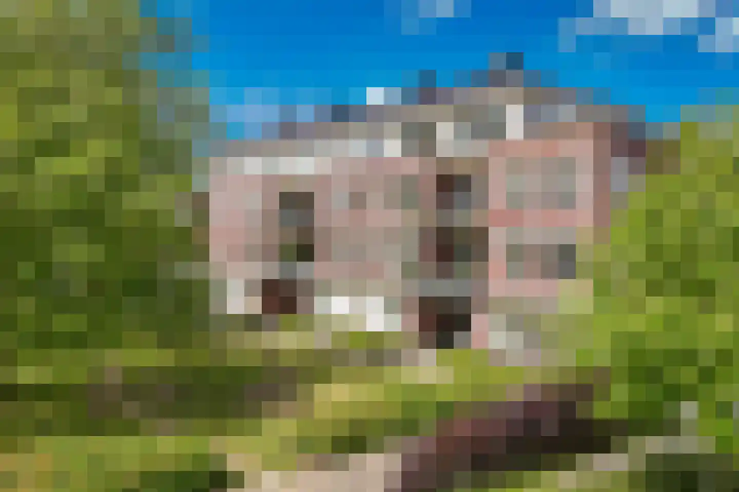Admiraal de Ruyterlaan 14 D Uithoorn
