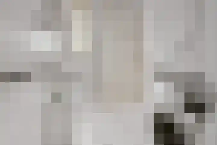 Admiraal de Ruyterlaan 14 D Uithoorn thumbnail 15