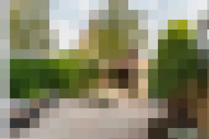 Admiraal de Ruyterlaan 15 Oegstgeest thumbnail 15