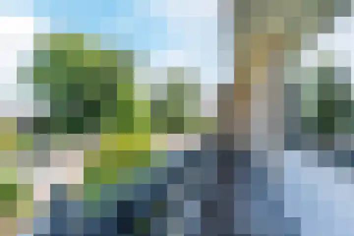 Admiraal de Ruyterlaan 15 Oegstgeest thumbnail 27