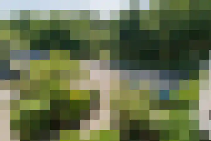Admiraal de Ruyterlaan 15 Oegstgeest thumbnail 28