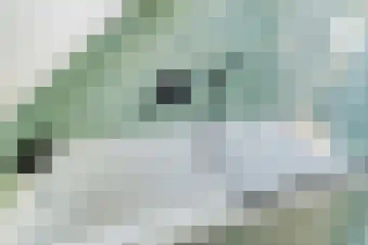 Admiraal de Ruyterlaan 15 Oegstgeest thumbnail 39