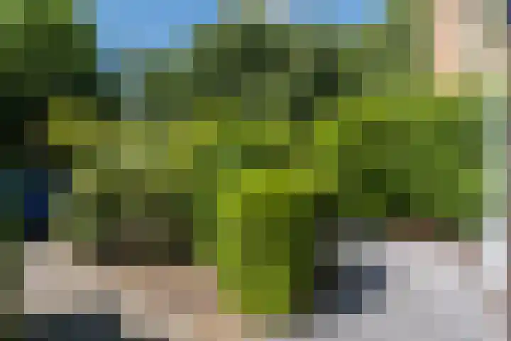 Admiraal de Ruyterlaan 15 Oegstgeest thumbnail 40