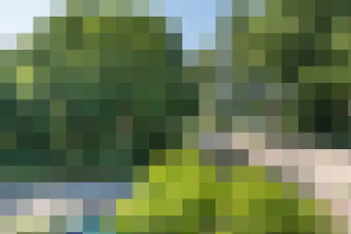 Admiraal de Ruyterlaan 15 Oegstgeest thumbnail 41