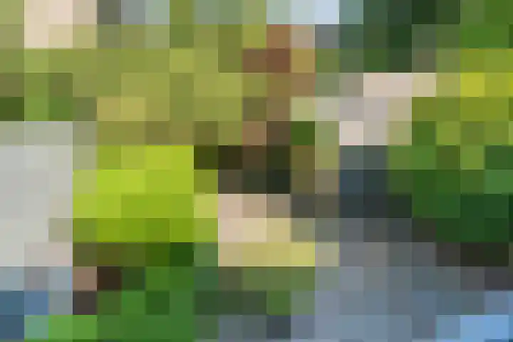 Admiraal de Ruyterlaan 15 Oegstgeest thumbnail 42