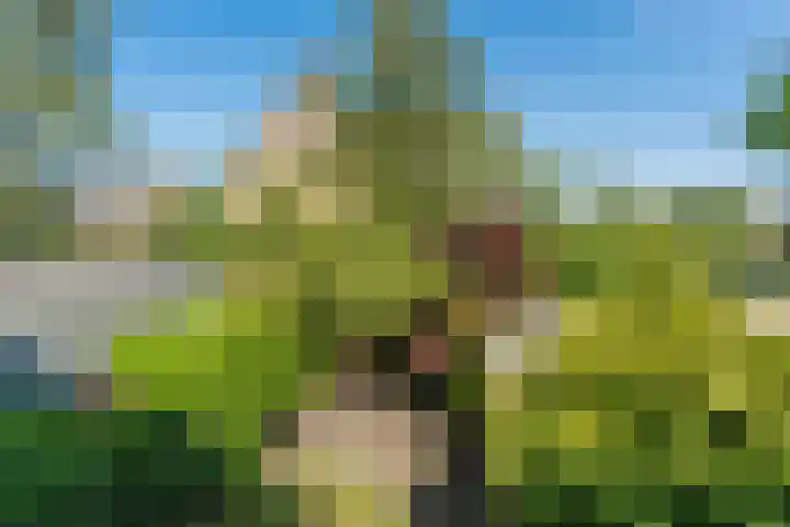 Admiraal de Ruyterlaan 15 Oegstgeest thumbnail 43