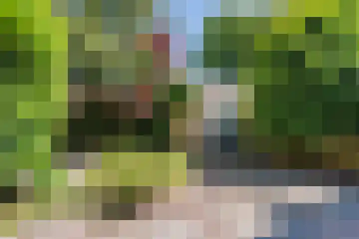 Admiraal de Ruyterlaan 15 Oegstgeest thumbnail 44