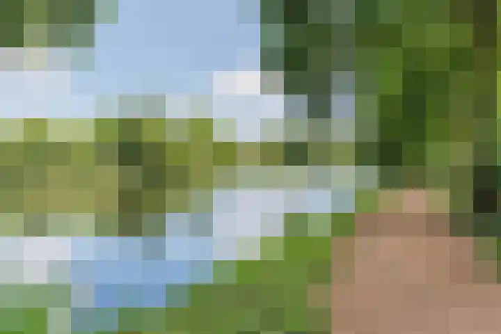 Admiraal de Ruyterlaan 15 Oegstgeest thumbnail 50