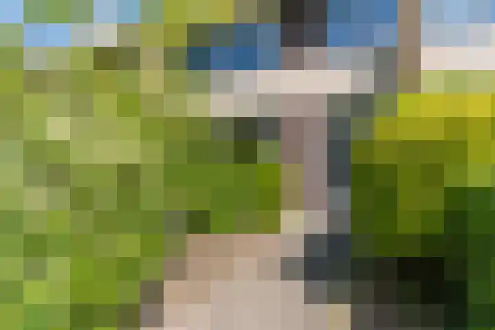 Admiraal de Ruyterlaan 15 Oegstgeest thumbnail 6