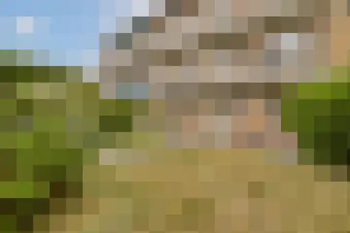 Admiraal de Ruyterlaan 171 Hilversum thumbnail 20