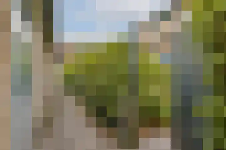Admiraal de Ruyterlaan 171 Hilversum thumbnail 22