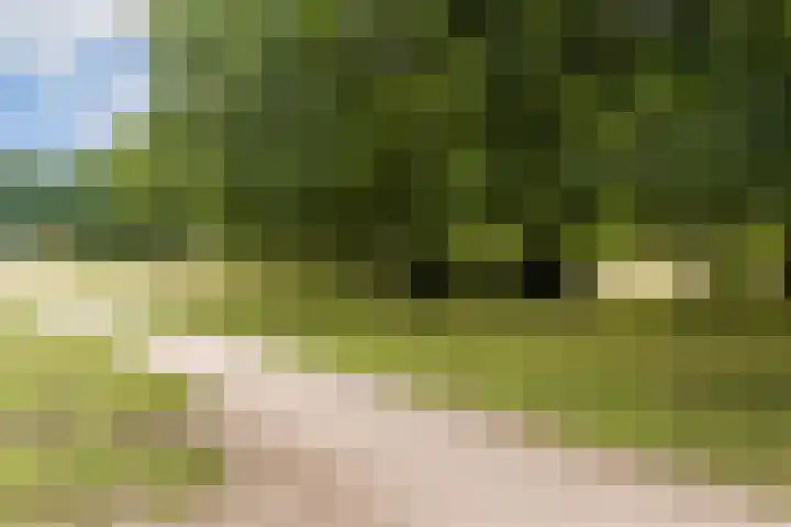Admiraal de Ruyterlaan 171 Hilversum thumbnail 26