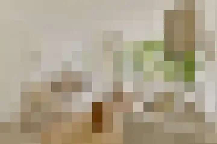 Admiraal de Ruyterlaan 171 Hilversum thumbnail 37