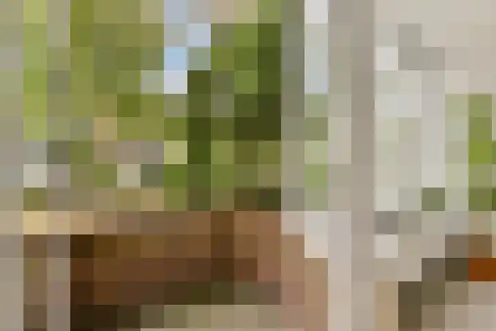Admiraal de Ruyterlaan 171 Hilversum thumbnail 9