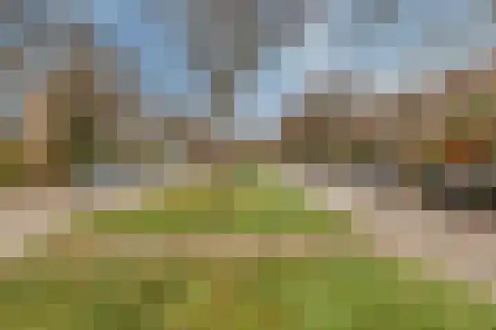 Admiraal de Ruyterlaan 181 Hilversum thumbnail 18