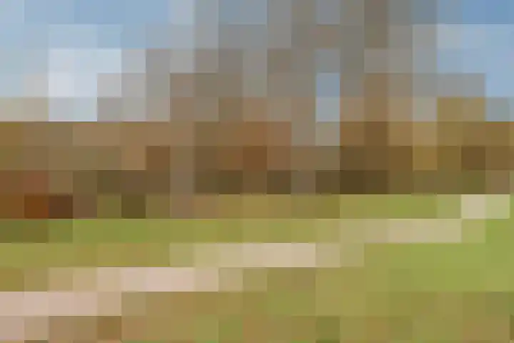 Admiraal de Ruyterlaan 181 Hilversum thumbnail 19