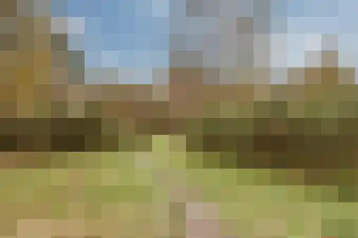 Admiraal de Ruyterlaan 181 Hilversum thumbnail 21