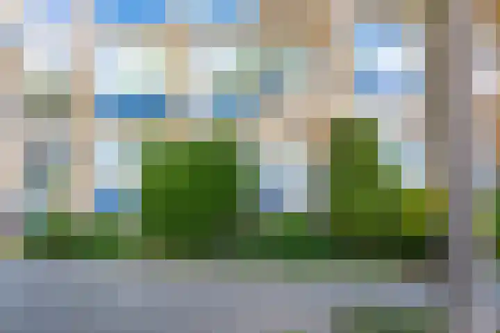 Admiraal de Ruyterlaan 19 Castricum thumbnail 47