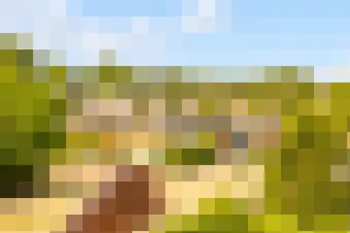 Admiraal de Ruyterlaan 20 Castricum thumbnail 21