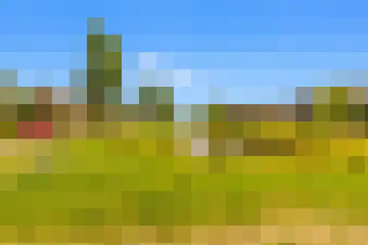 Admiraal de Ruyterlaan 20 Castricum thumbnail 33