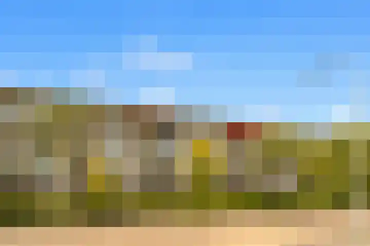 Admiraal de Ruyterlaan 20 Castricum thumbnail 40