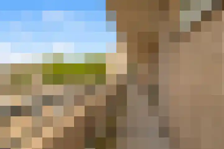 Admiraal de Ruyterlaan 20 Castricum thumbnail 6