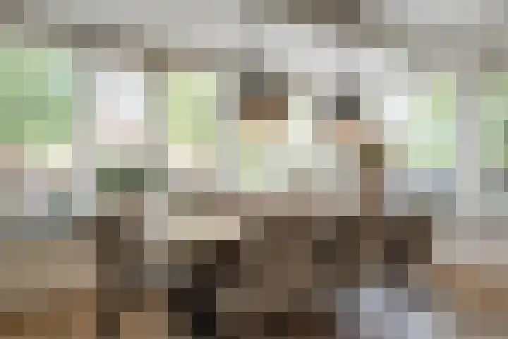 Admiraal de Ruyterlaan 24 A Uithoorn thumbnail 12