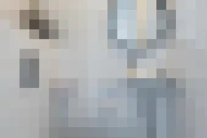 Admiraal de Ruyterlaan 24 A Uithoorn thumbnail 21
