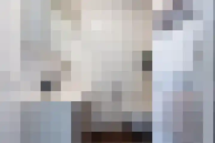 Admiraal de Ruyterlaan 24 A Uithoorn thumbnail 33