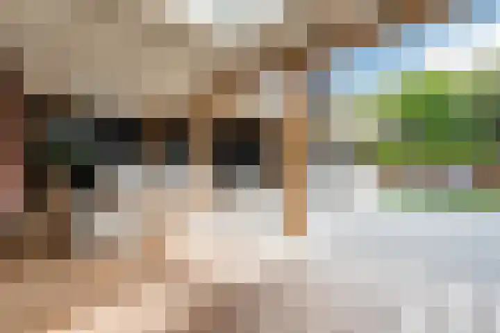 Admiraal de Ruyterlaan 24 A Uithoorn thumbnail 43