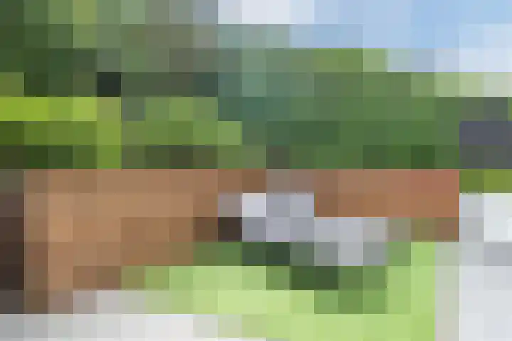 Admiraal de Ruyterlaan 24 A Uithoorn thumbnail 48