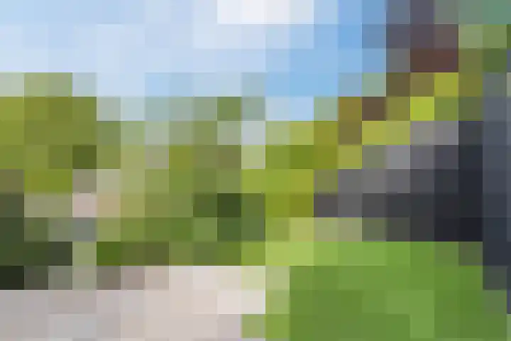 Admiraal de Ruyterlaan 24 A Uithoorn thumbnail 53