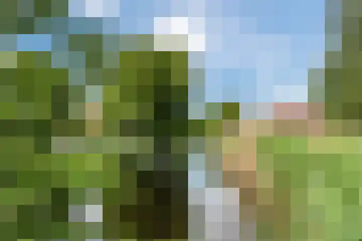 Admiraal de Ruyterlaan 24 A Uithoorn thumbnail 55