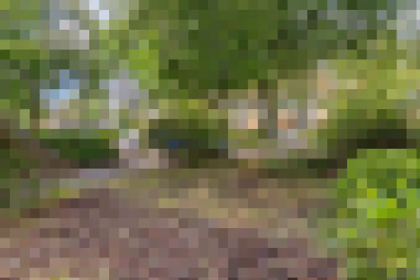 Admiraal de Ruyterlaan 25 Hilversum thumbnail 26