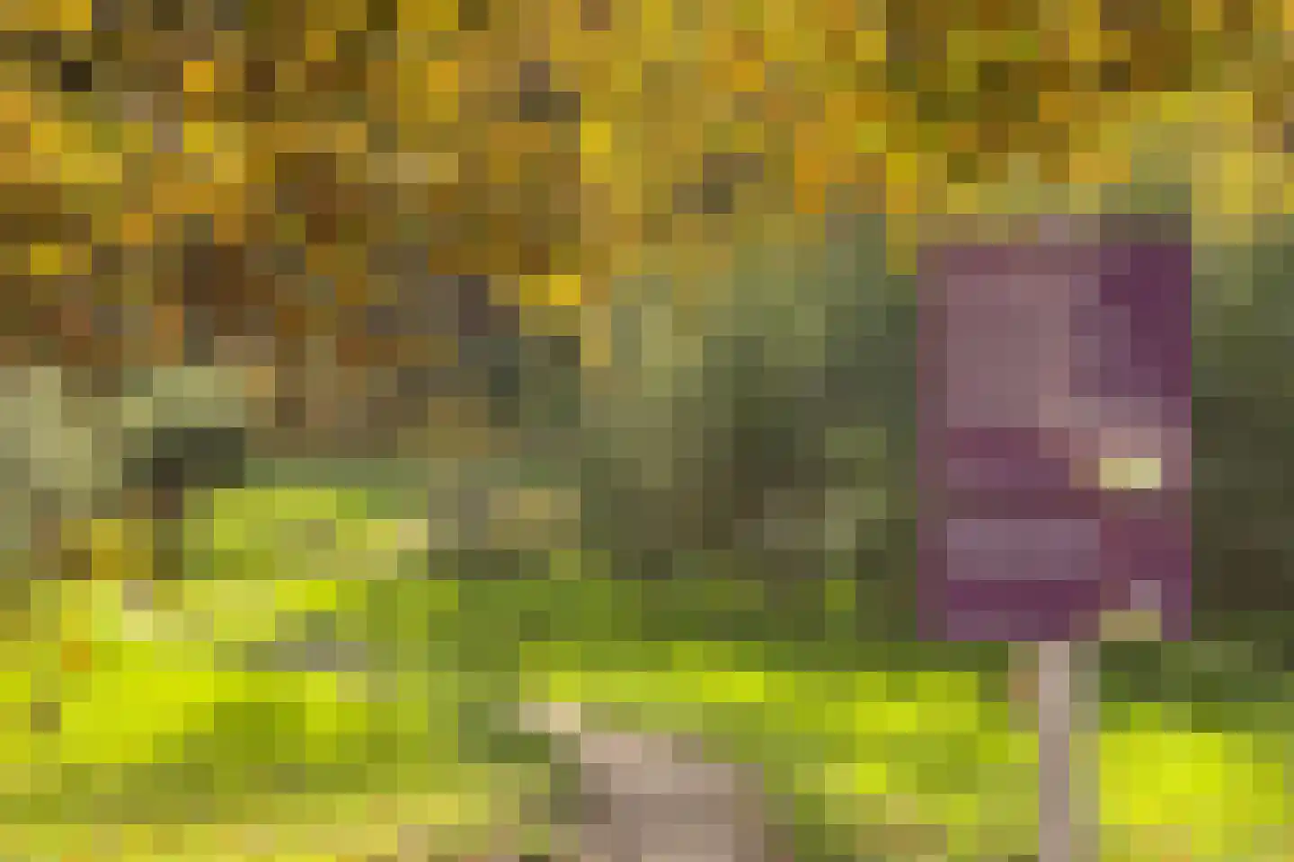 Admiraal de Ruyterlaan 25 Hilversum thumbnail 29