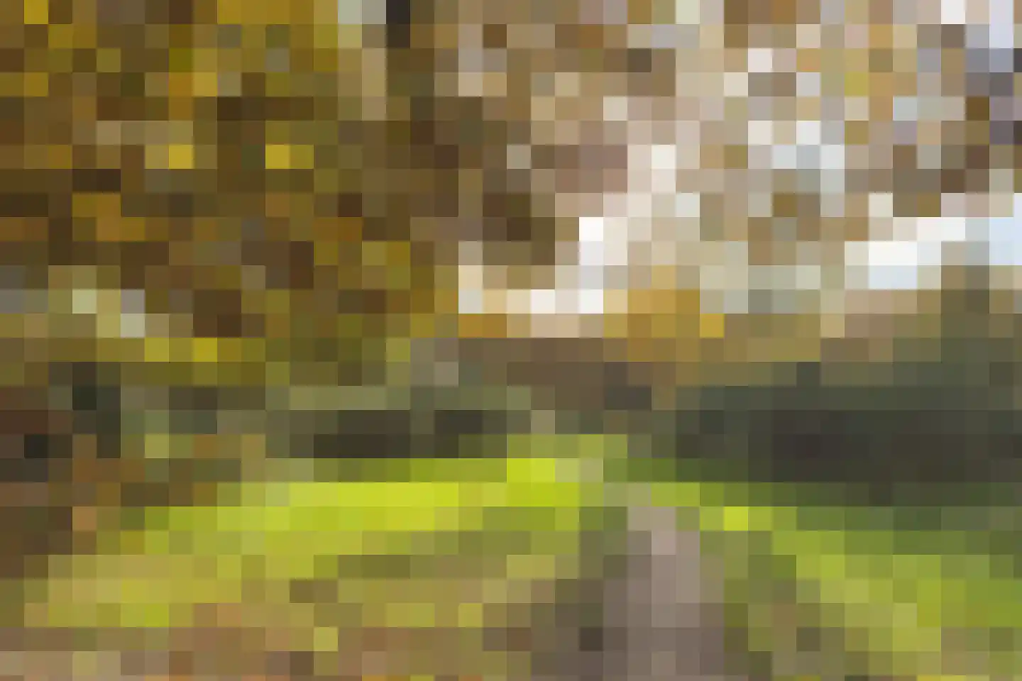 Admiraal de Ruyterlaan 25 Hilversum thumbnail 30