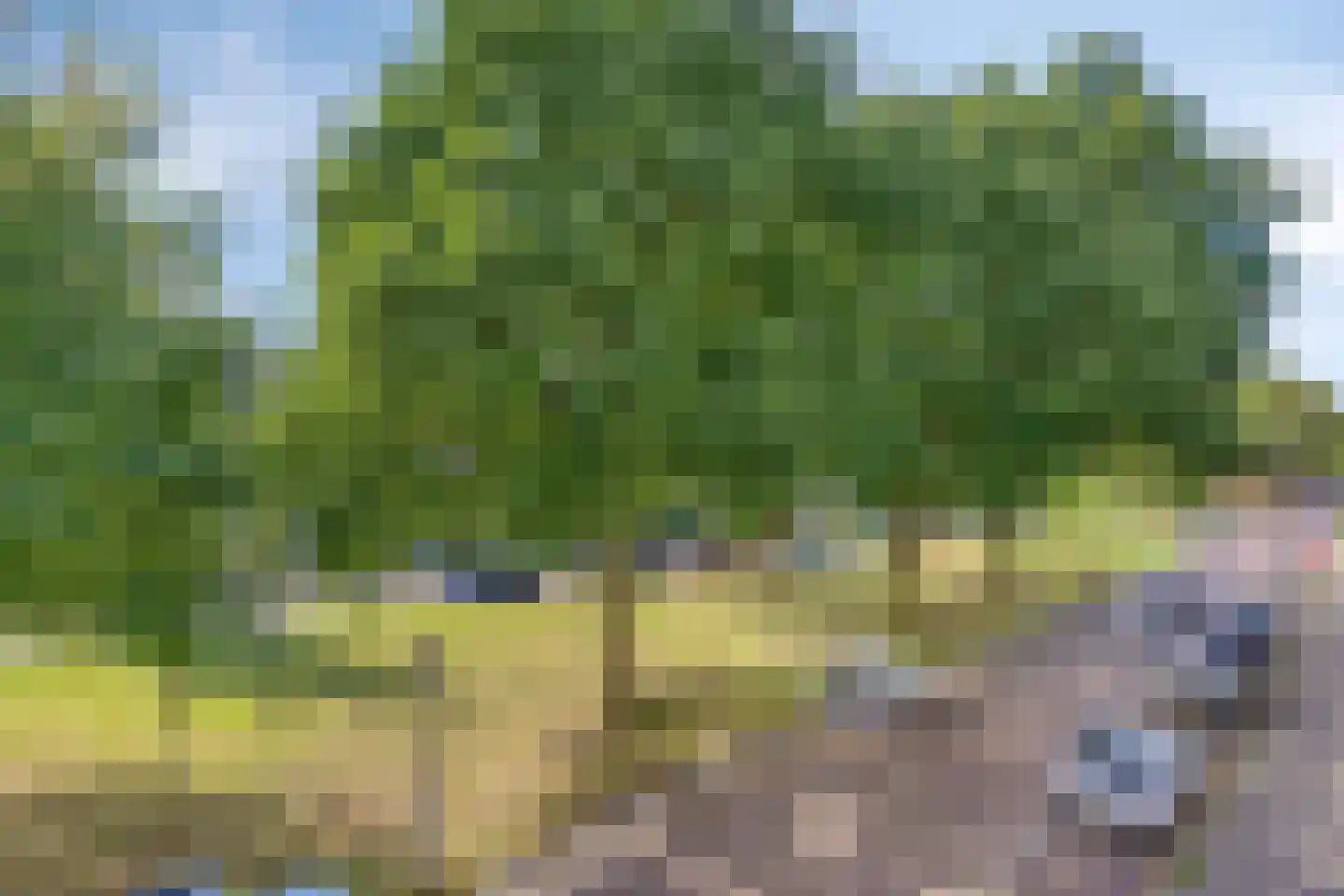 Admiraal de Ruyterlaan 26 c Groningen thumbnail 8