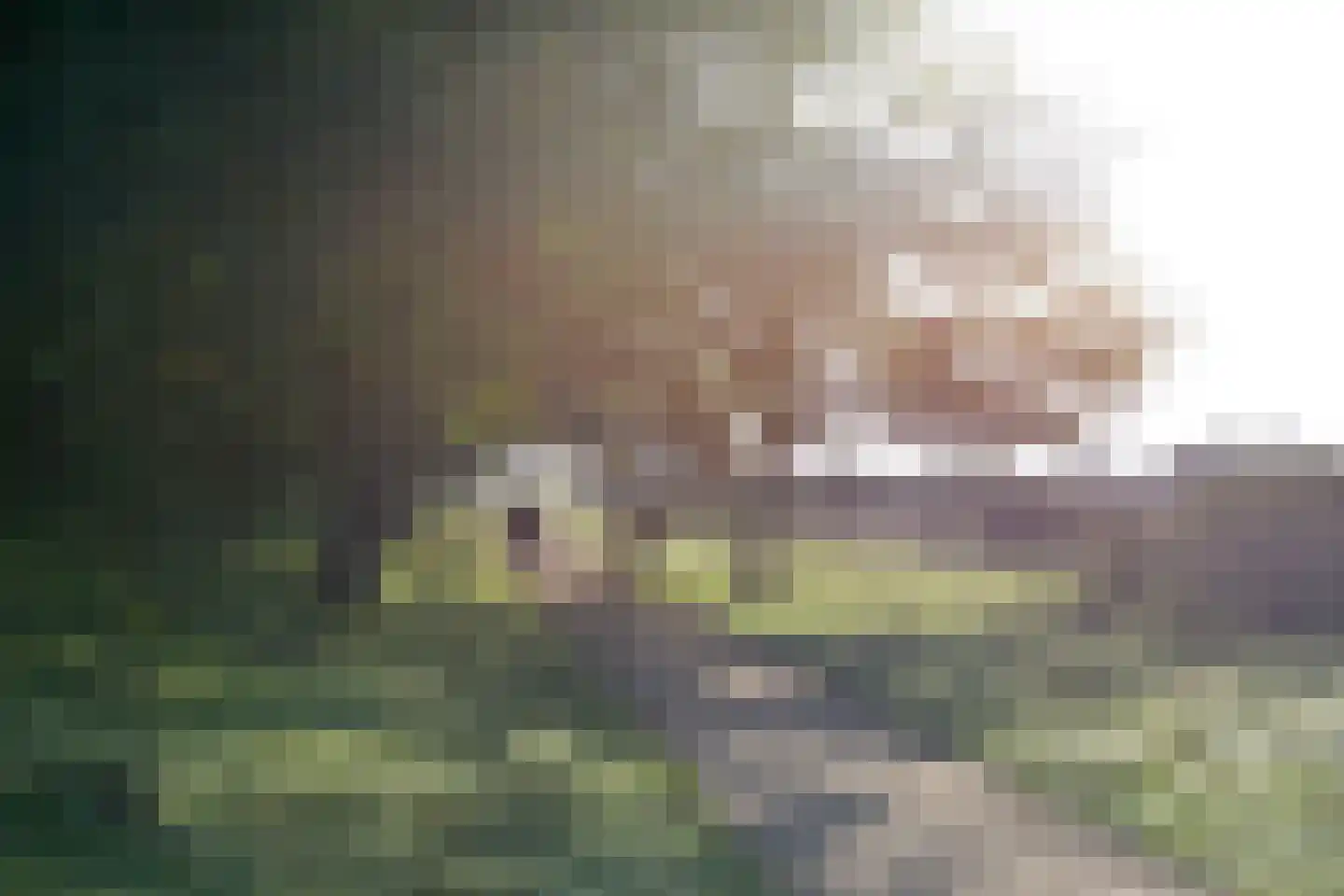 Admiraal de Ruyterlaan 26 Hilversum thumbnail 26