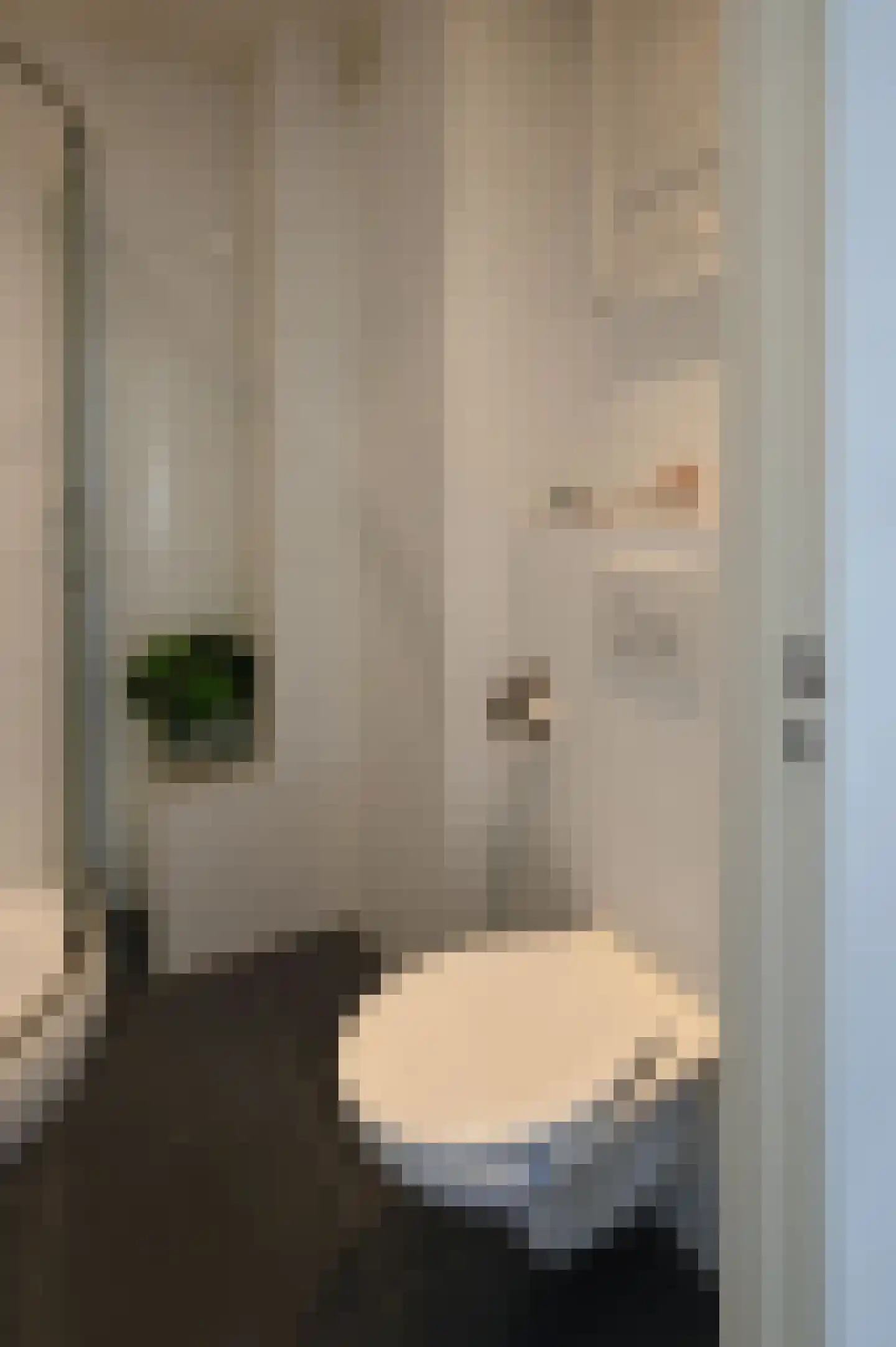 Admiraal de Ruyterlaan 26 Hilversum thumbnail 29