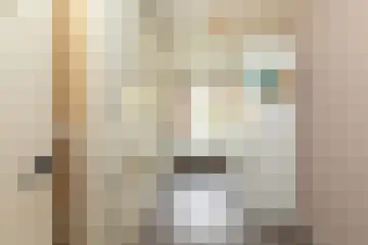 Admiraal de Ruyterlaan 27 Hilversum thumbnail 13