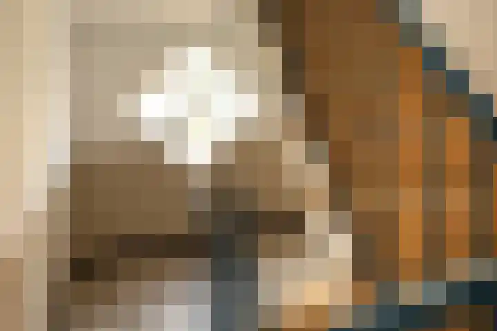 Admiraal de Ruyterlaan 27 Hilversum thumbnail 21