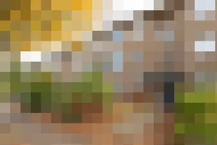 Admiraal de Ruyterlaan 27 Hilversum thumbnail 23